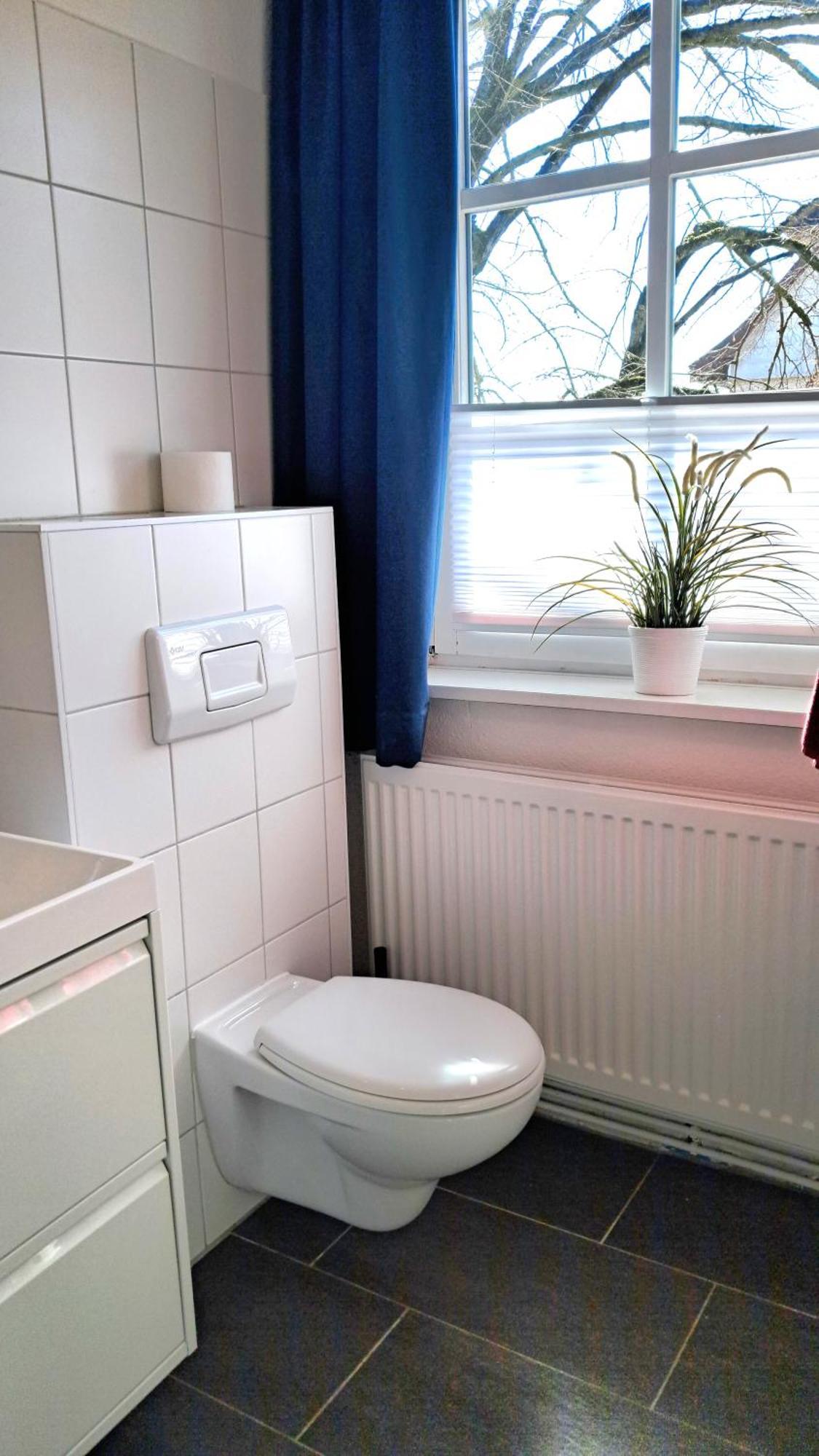 Apartment Brauner Hirsch Celle Extérieur photo